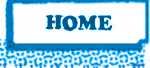 home button